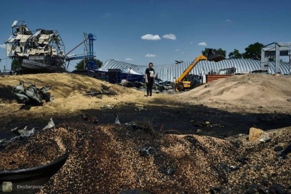 Кількість діючих агропідприємств за перший рік війни зменшилась на 31% фото, ілюстрація