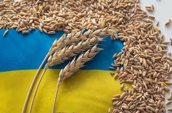 Україна займає третє місце серед постачальників агропродукції до ЄС фото, ілюстрація