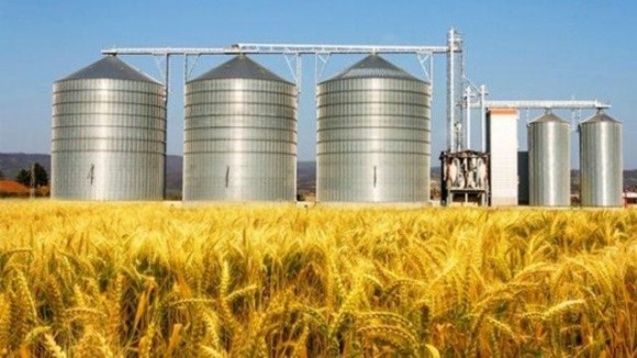 Дніпропетровщина очолила всеукраїнський рейтинг виробників у сільському господарстві фото, ілюстрація