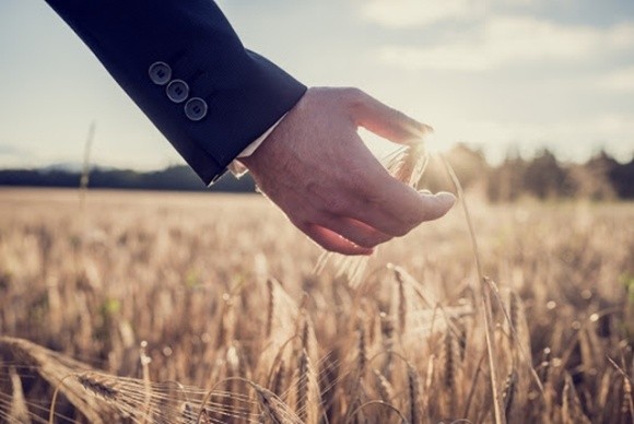 Страхування сільгоспвиробників в Україні планує розвивати Нацбанк фото, ілюстрація