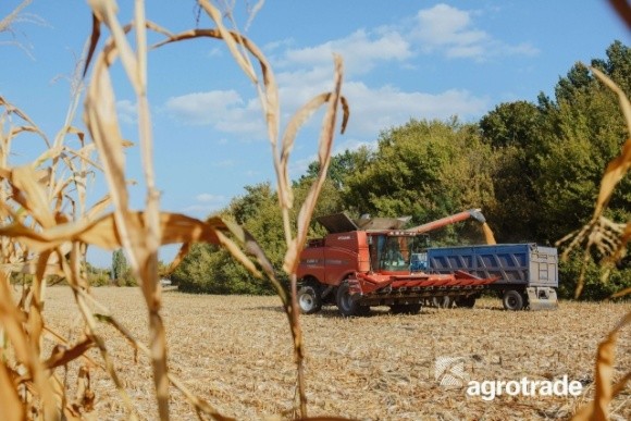 Група АГРОТРЕЙД планує збільшити площу посівів під озимою пшеницею фото, ілюстрація
