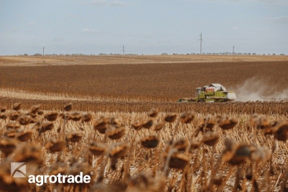 Группа АГРОТРЕЙД собрала около 350 тысяч тонн зерновых и масличных культур фото, иллюстрация