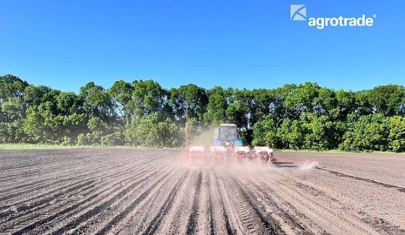 У Групі АГРОТРЕЙД вперше посіяли арахіс фото, ілюстрація