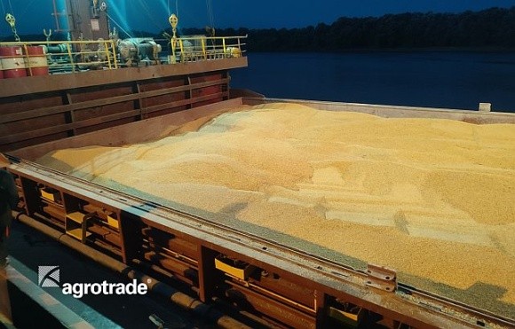 У 2023 році Група АГРОТРЕЙД експортувала майже 350 тисяч тонн зерна фото, ілюстрація