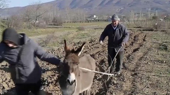 Албанські фермери працюють з найпростішими знаряддями і мріють про трактори фото, ілюстрація