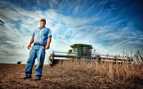 Міністерство сільського господарства США порадувало аграріїв свіжим звітом фото, ілюстрація