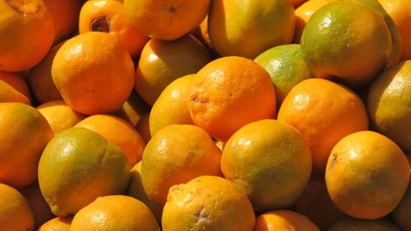 Єгипетські апельсини не подешевшають фото, ілюстрація