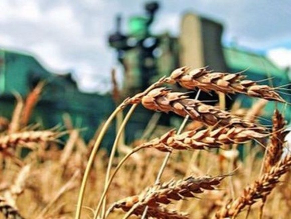 Обсяг фермерського ринку України становить 70 млрд грн фото, ілюстрація