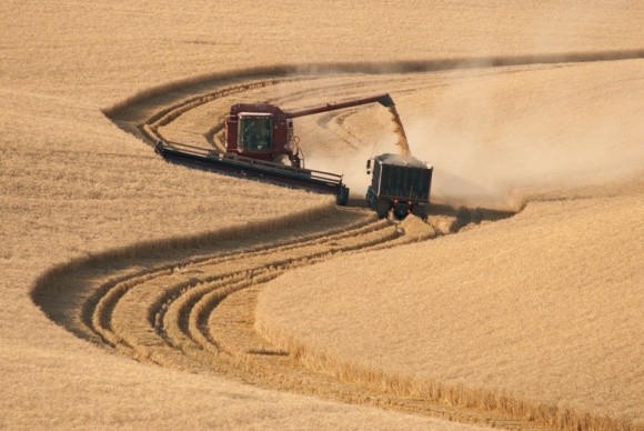 Розмір земельного банку агрохолдингів та їхня кількість в Україні щороку зростають фото, ілюстрація