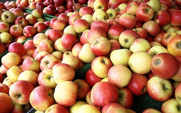 Экспорт - самый перспективный канал сбыта для украинских яблок фото, иллюстрация