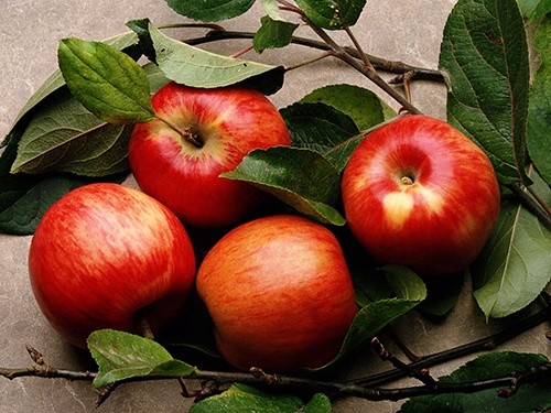 Польща вже імпортує свіже яблуко преміальної якості з України фото, ілюстрація