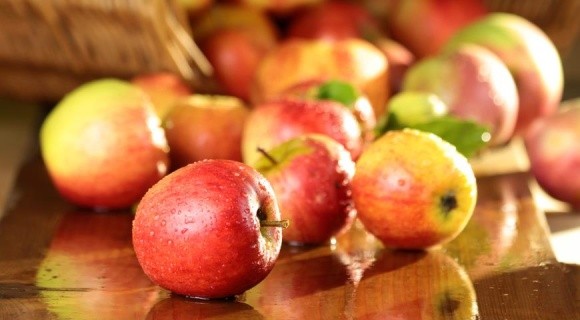 За 22 роки площа яблуневих садів скоротилася в 3,5 разу фото, ілюстрація