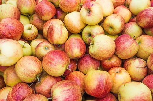 В наступному сезоні врожай промислового яблука в Україні скоротиться, – УПОА фото, ілюстрація