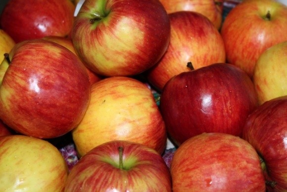 Найпопулярніші сорти українських яблук, які експортують в Азію фото, ілюстрація