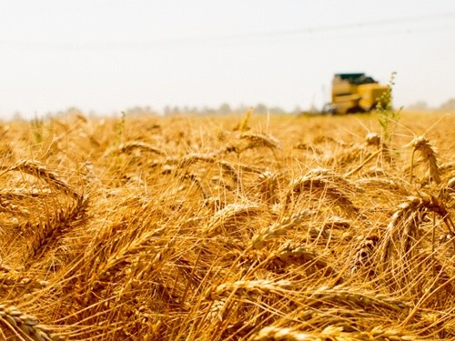 Україна посилює контроль аграрного ринку фото, ілюстрація