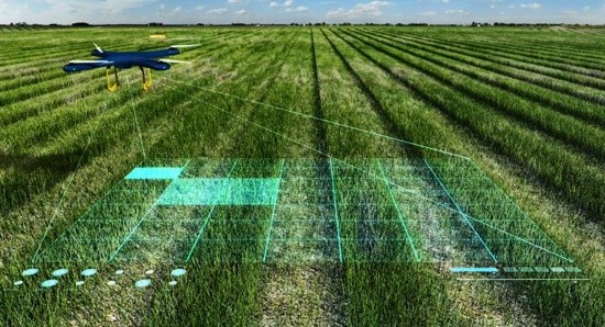 Штучний інтелект слідкує за 95% полів Agricom Group фото, ілюстрація