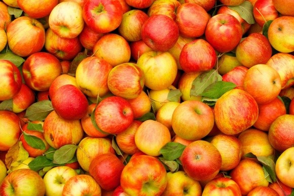 Малайзія чекає на українські яблука фото, ілюстрація