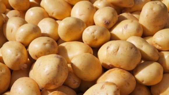 Через війну в Україні австралійським фермерам невигідно вирощувати картоплю фото, ілюстрація
