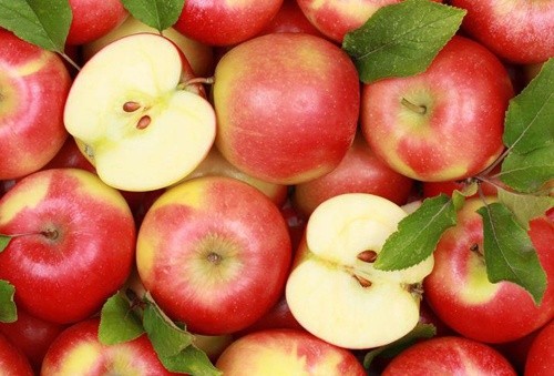 В Україні ціни на яблуко після зберігання нижче, ніж під час збирання фото, ілюстрація