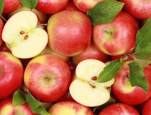 Цієї зими Україна експортувала яблука до 18 країн світу фото, ілюстрація