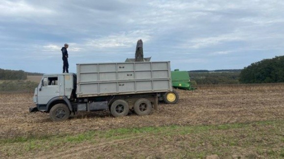 Дощі на Полтавщині зупинили жнива на три тижні фото, ілюстрація