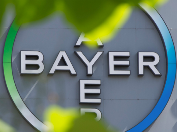 Bayer запускає онлайн-ресурс для продажу зерна фото, ілюстрація