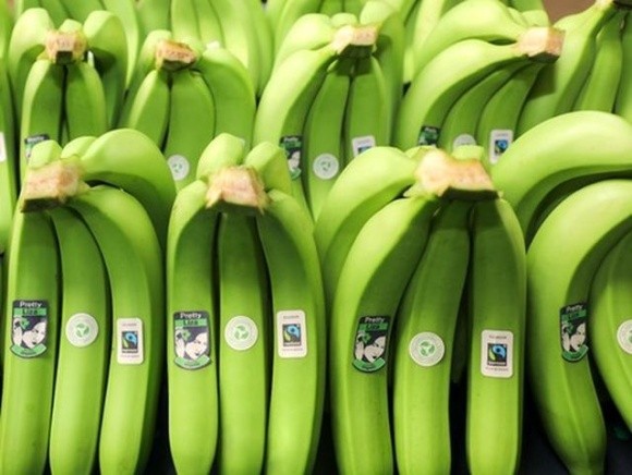 Швейцарська компанія запровадила екологічні етикетки для бананів фото, ілюстрація