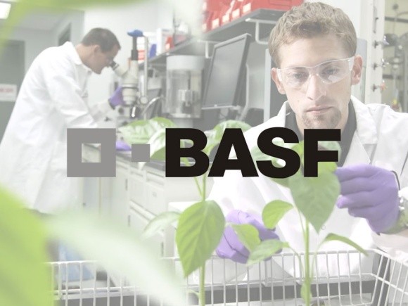 BASF розширює виробництво інокулянтів фото, ілюстрація