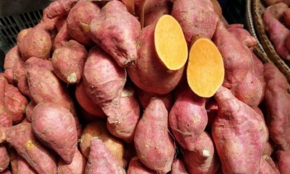 Сезон батату: як вирощують солодку картоплю в Україні фото, ілюстрація