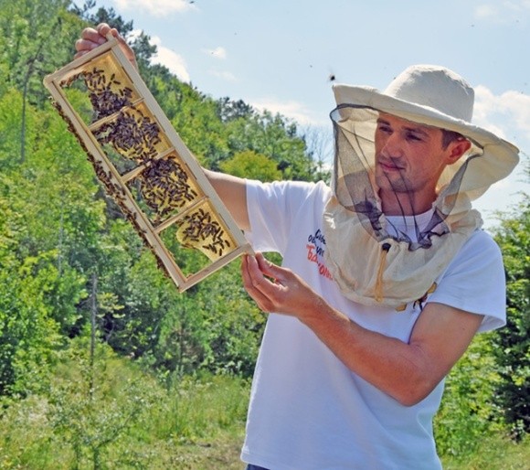 На Тернопільщині заснували один із найпотужніших в області медовий кооператив «Бджолиний рай»  фото, ілюстрація