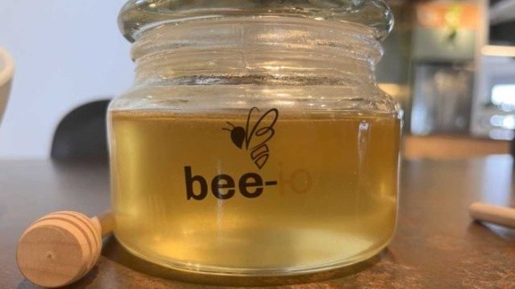 В Ізраїлі виробляють мед без участі бджіл фото, ілюстрація
