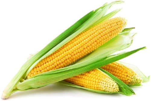 Найвища пропозиція української кукурудзи знижує ціни на Чиказькій біржі фото, ілюстрація