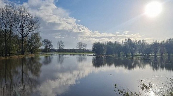 Бельгійські фермери «пішли під воду» фото, ілюстрація