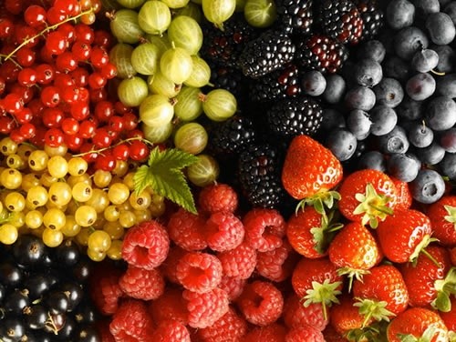 Как Украине правильно использовать рост спроса на органическую ягоду? фото, иллюстрация