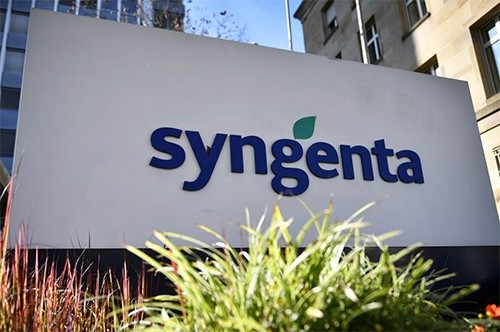 За програмою «МетеоЗахист» компанії Syngenta аграрії отримали 44 млн грн. фото, ілюстрація