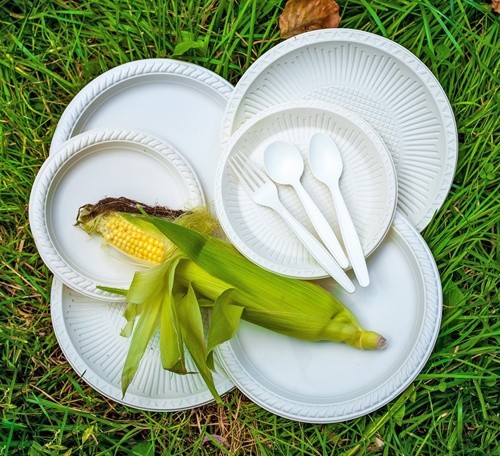 В Україні винайшли технологію виробництва одноразового посуду з кукурудзи фото, ілюстрація