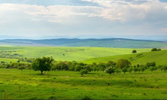 На Вінниччині намагались повторно безоплатно приватизувати 12 га землі фото, ілюстрація