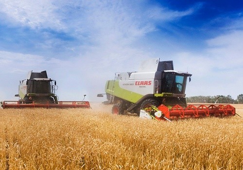 Канада зібрала більше зернових і менше ріпаку й бобових фото, ілюстрація