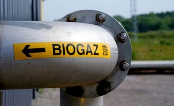 В Україні реалізовано близько 100 біоенергетичних проектів по заміщенню газу в АПК фото, ілюстрація