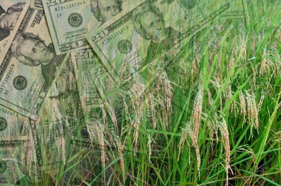 Рейтинг боргів українських агрохолдингів фото, ілюстрація