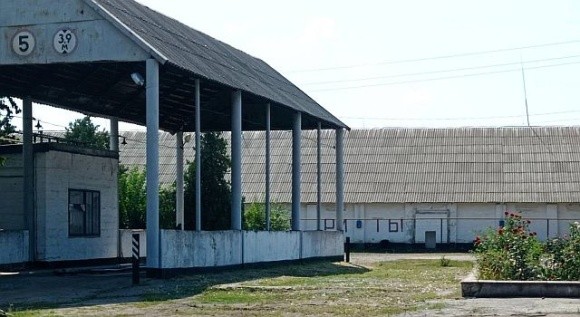 Дніпровський тепличний комбінат купує елеватор в Дніпропетровській області фото, ілюстрація