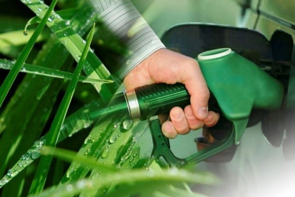 Біоетанол з кукурудзи шкідливіший для клімату, ніж бензин, — дослідження фото, ілюстрація