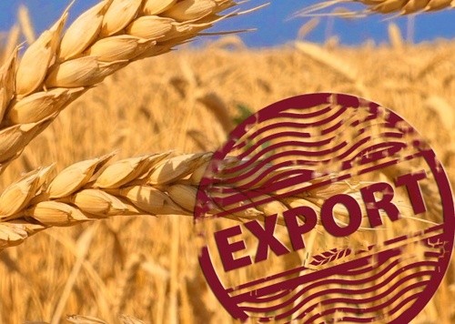Експорт українського зерна в 2018/19 МР досяг 48.3 млн тон, - Мінагрополітики фото, ілюстрація