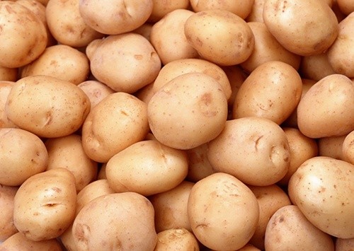 Україна почала імпортувати картоплю з Білорусі фото, ілюстрація