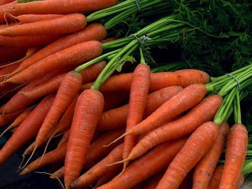 Пропозиція моркви на ринку України є недостатньою фото, ілюстрація