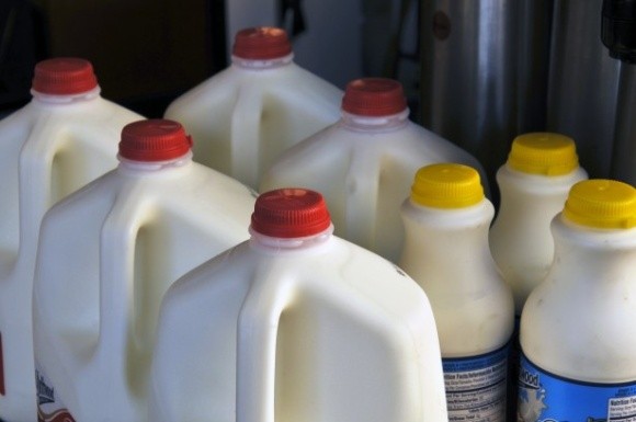На світовому ринку виросли ціни на молоко. Як відреагує Україна? фото, ілюстрація