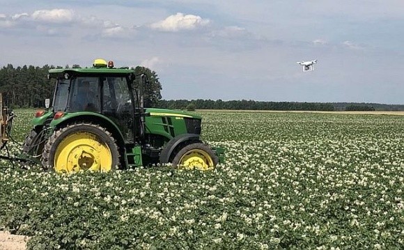 Нідерланди відкриють в Україні демонстраційний центр картоплі фото, ілюстрація