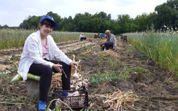 В Одеській області фермери об'єдналися для оптимізації продажів часнику фото, ілюстрація