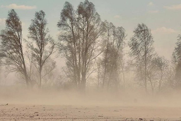 Через зміну клімату Україна може втрачати 70% врожаю фото, ілюстрація