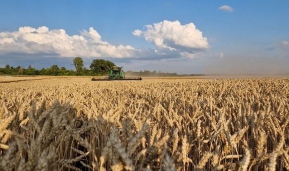 Черкащина входить до трійки лідерів по урожайності зернових культур фото, ілюстрація